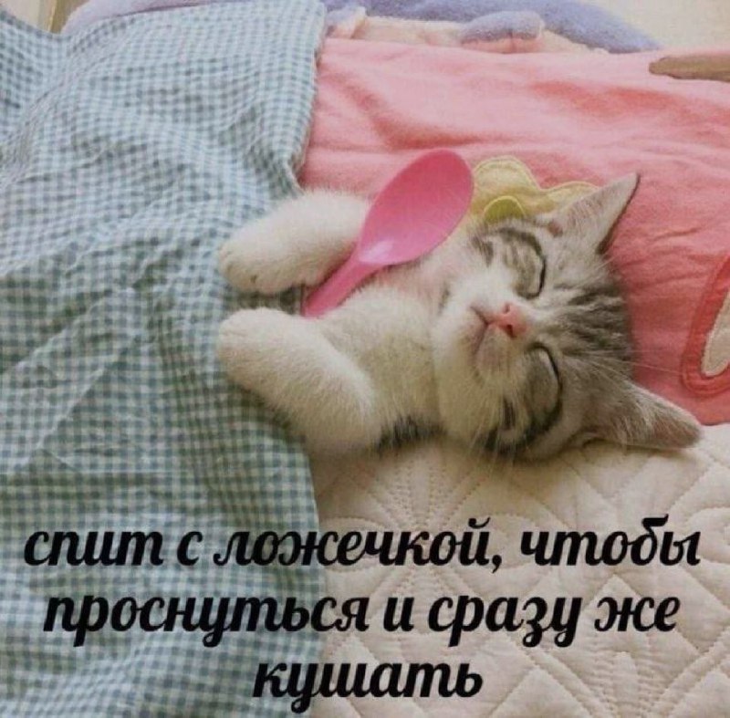 Ночная подборочка
Спать, режим