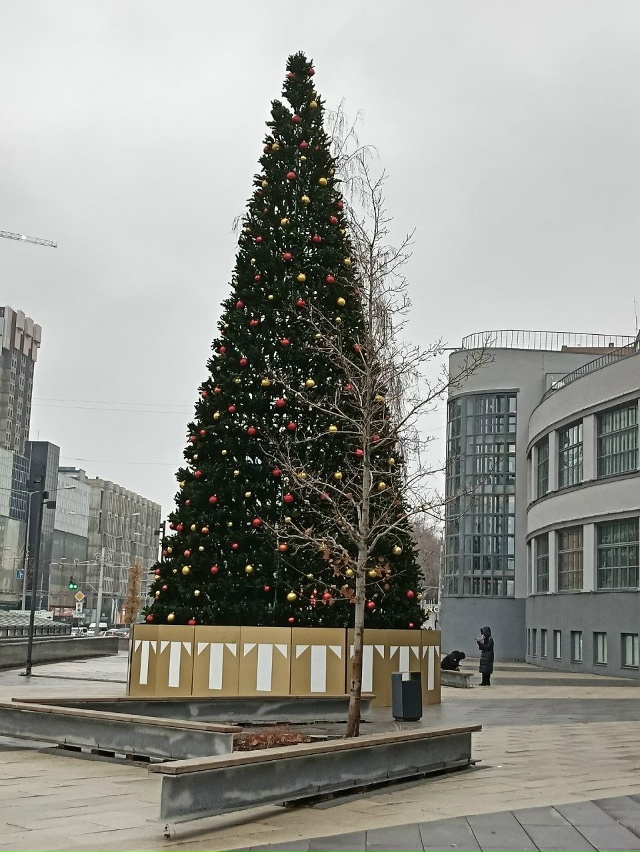 Напротив ЗИМа, установили новогоднюю елку, город посте...