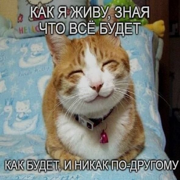 Ночная подборочка
Спать, режим