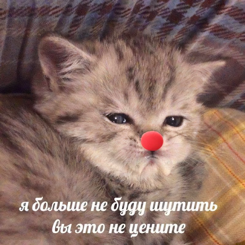 Утренняя подборочка