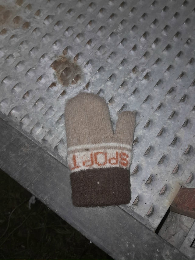 Чья потеряшка? Положила на крыльцо 