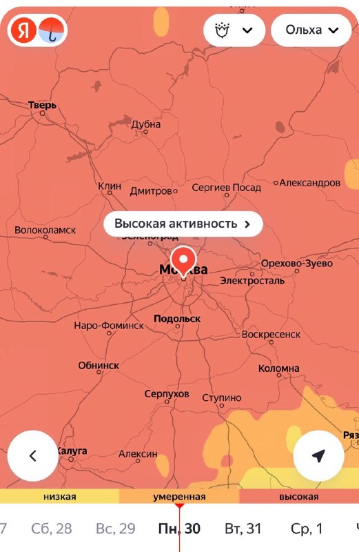 Девочки, в Москве уже начался ад для аллергиков — в регионе зацвела ольха.
Также из-за аномально тё