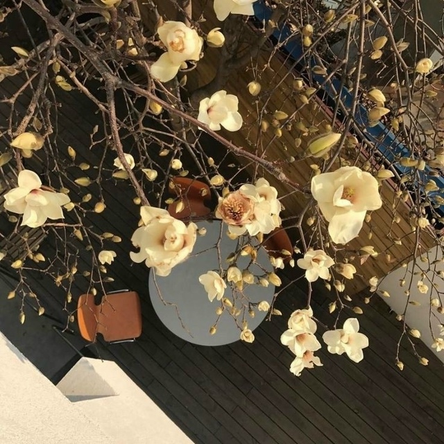 Март - это весна сердца. Апрель - весна природы. А май - э?...