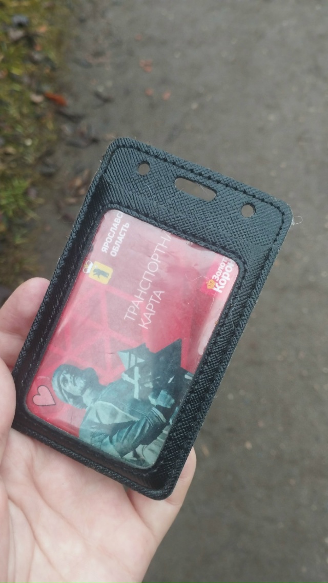 На улице Декабристов рядом с 30 домом найден карт холде?...