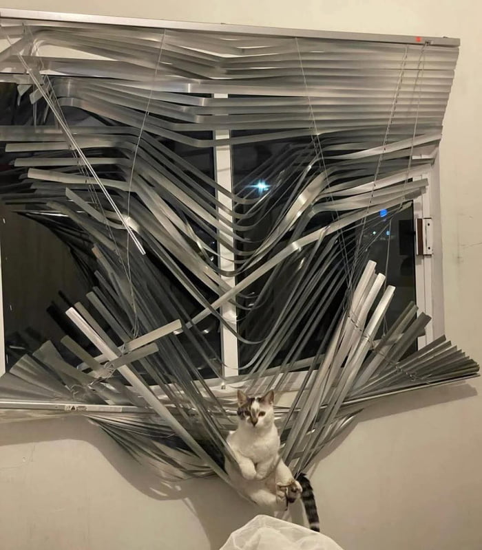 Король Хаоса и Суеты восседает на своём троне😳