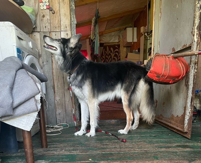 СНТ5, ПОСЁЛОК ВЕРХ НЕЙВИНСК.
13 ИЮЛЯ ДНЁМ С ПРИВЯЗИ СБЕЖА...
