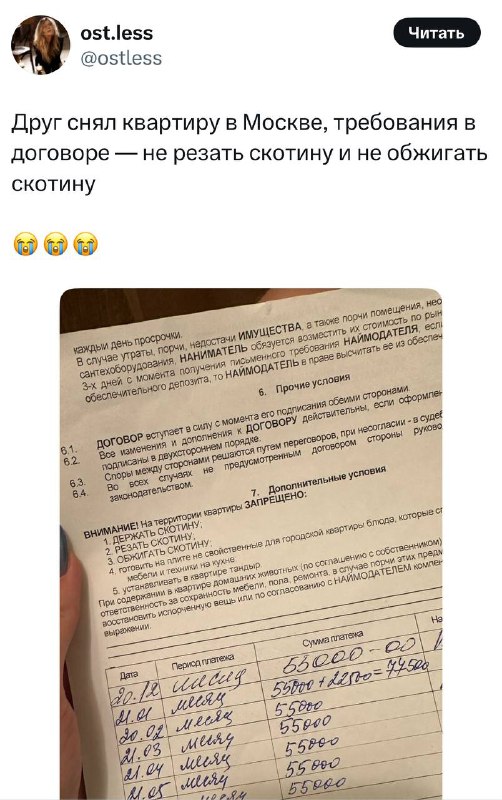 Предыдущие жильцы явно смогли впечатлить этого арендодателя 🤓
