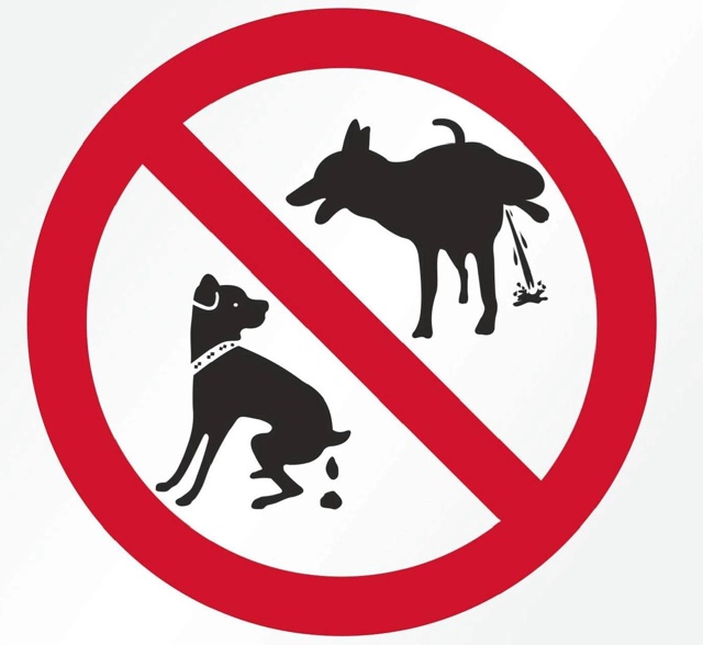 ⚡️Убирать за своими питомцами в подъездах жилых домо?...