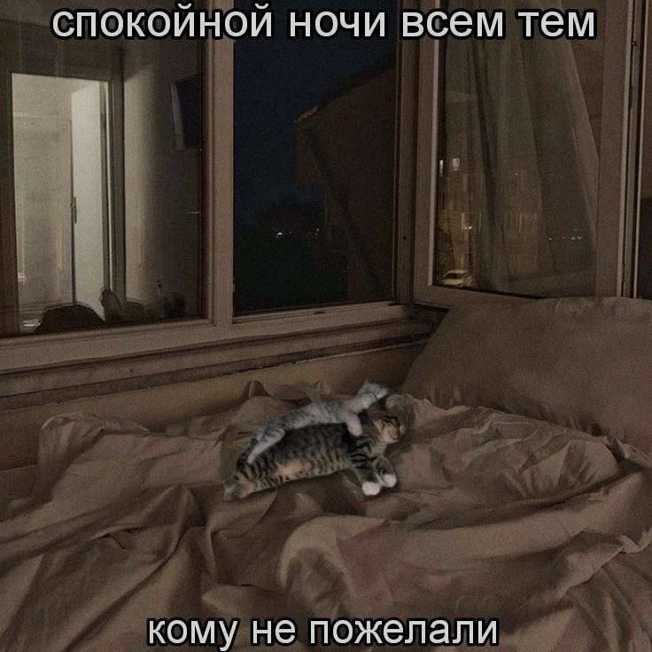 Ночная подборочка
Выходные, не спим