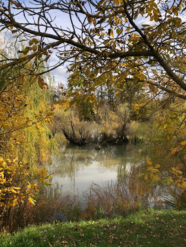 Поехали сегодня полюбоваться красивым озером. Там так ...