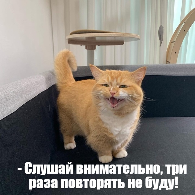 😂😂😂