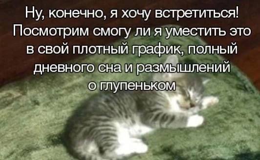 Утренняя подборочка