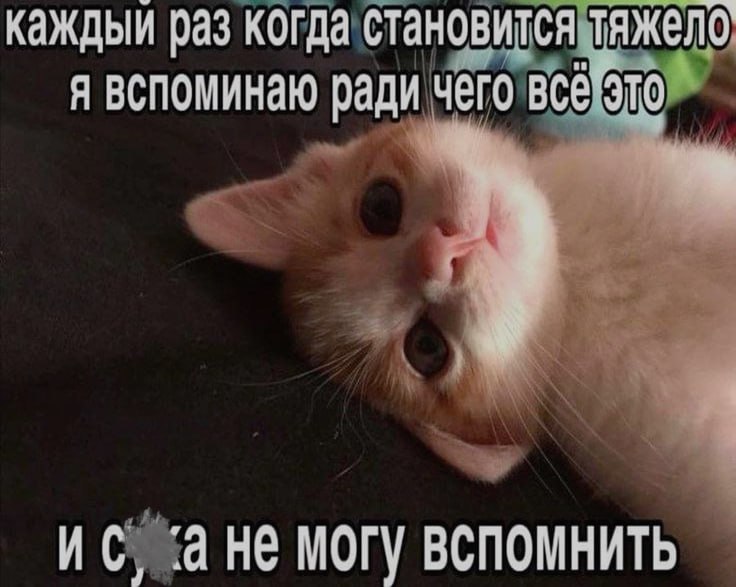 Ночная подборочка
Спать, режим