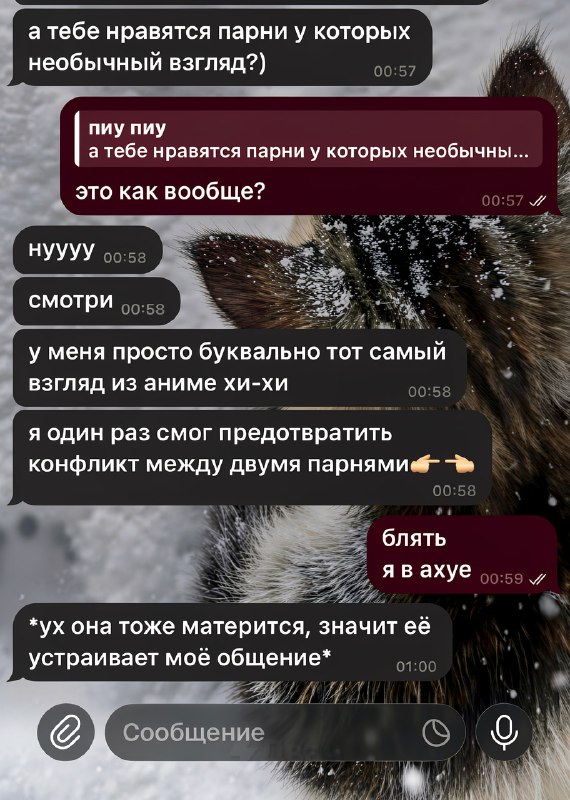 Анимешники, вы нормальные?