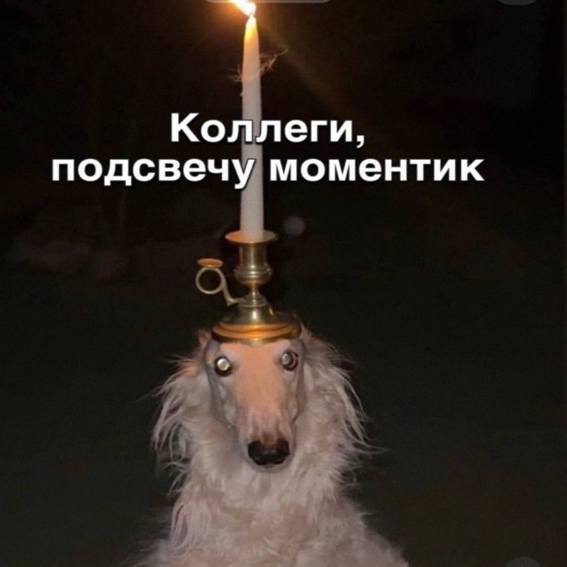 Утренняя подборочка