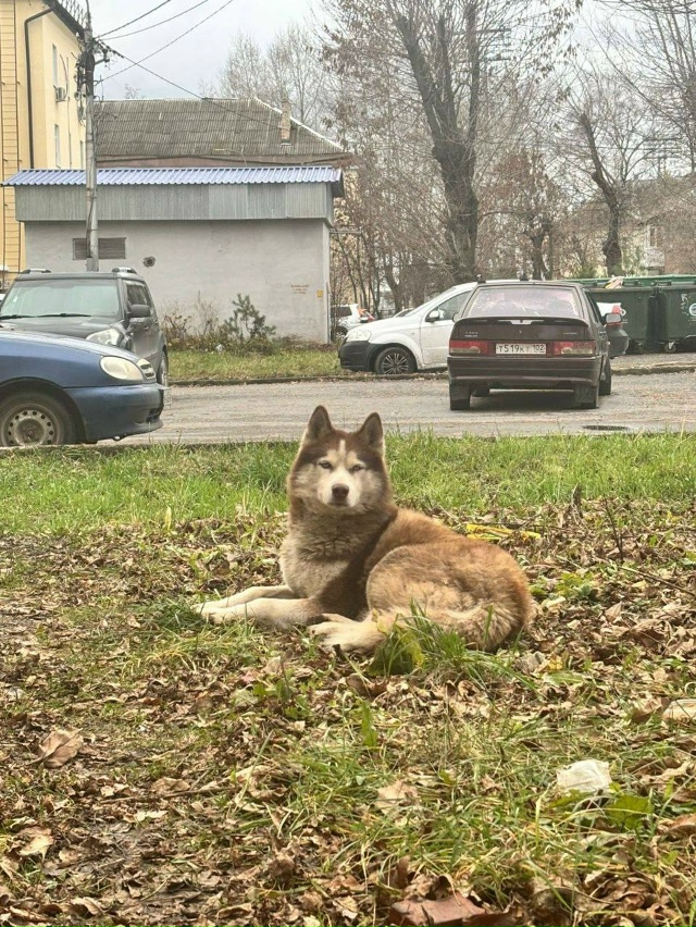 💔 «Сердце разрывается»: уфимцы пытаются помочь ожида?...