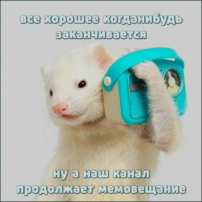 Ночная подборочка
Спать, режим