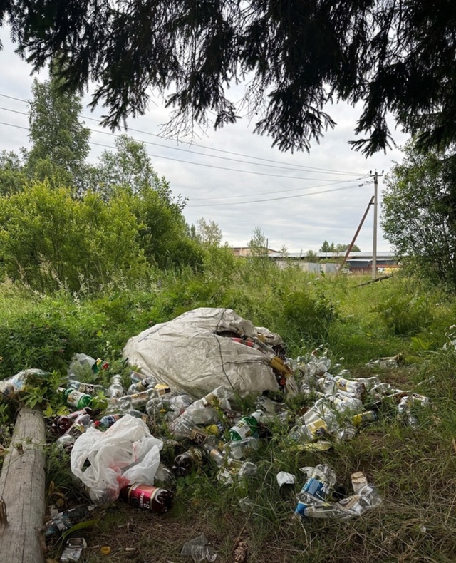 За гаражами на козицком целый склад бутылок разных ! Ви...