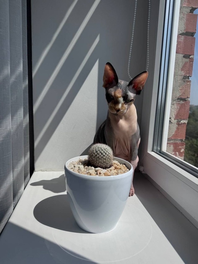 Наш первый пост)
Зайка, 6 лет, появилась почти год назад,...