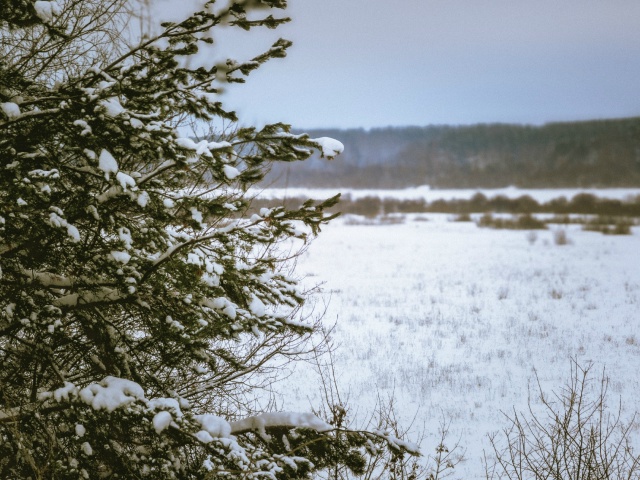 Здравствуй зима ❄️
Воскресенское, нижегородская обла...