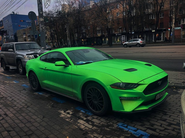 🤩Вот такой красавчик сегодня разнообразил одну из ул?...