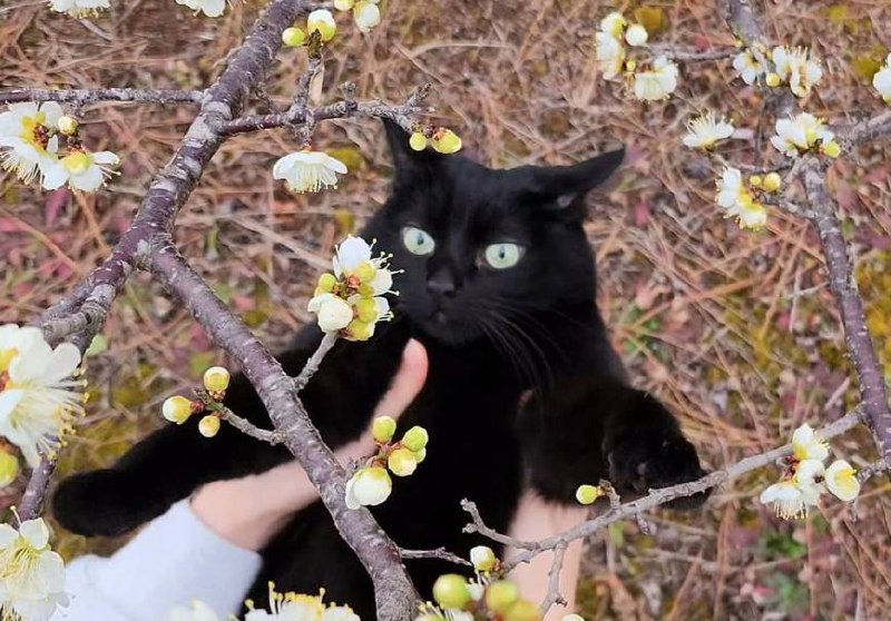 Весенняя фотосессия