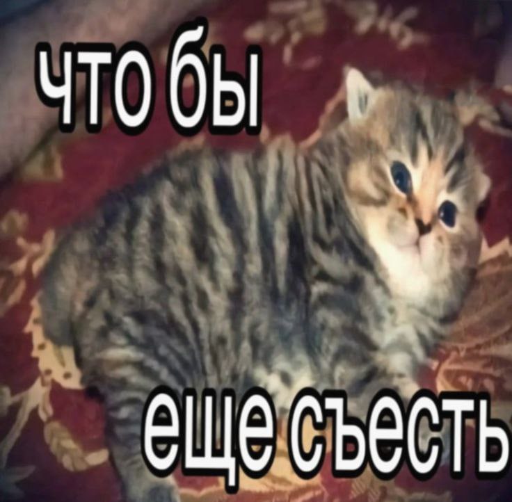 Ночная подборочка
Спать, режим