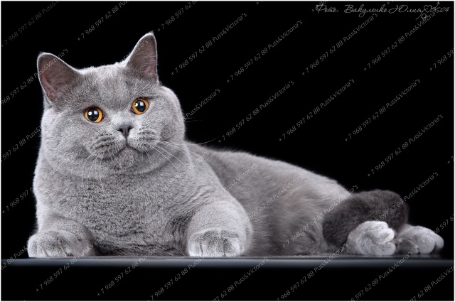 Как вам наши девочки? ?