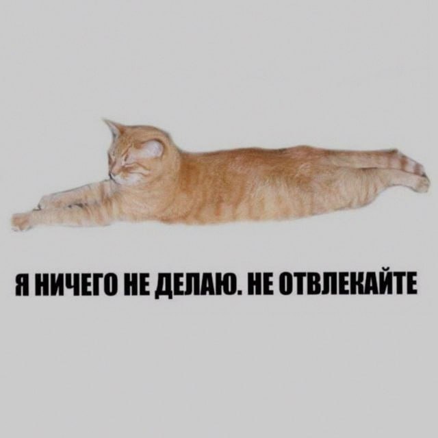 Ночная подборочка
Спать, режим