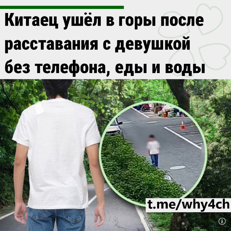 Я его понимаю😮‍💨
Спустя три дня без связи брат сообщил о его пропаже. Полиция обнаружила на камерах