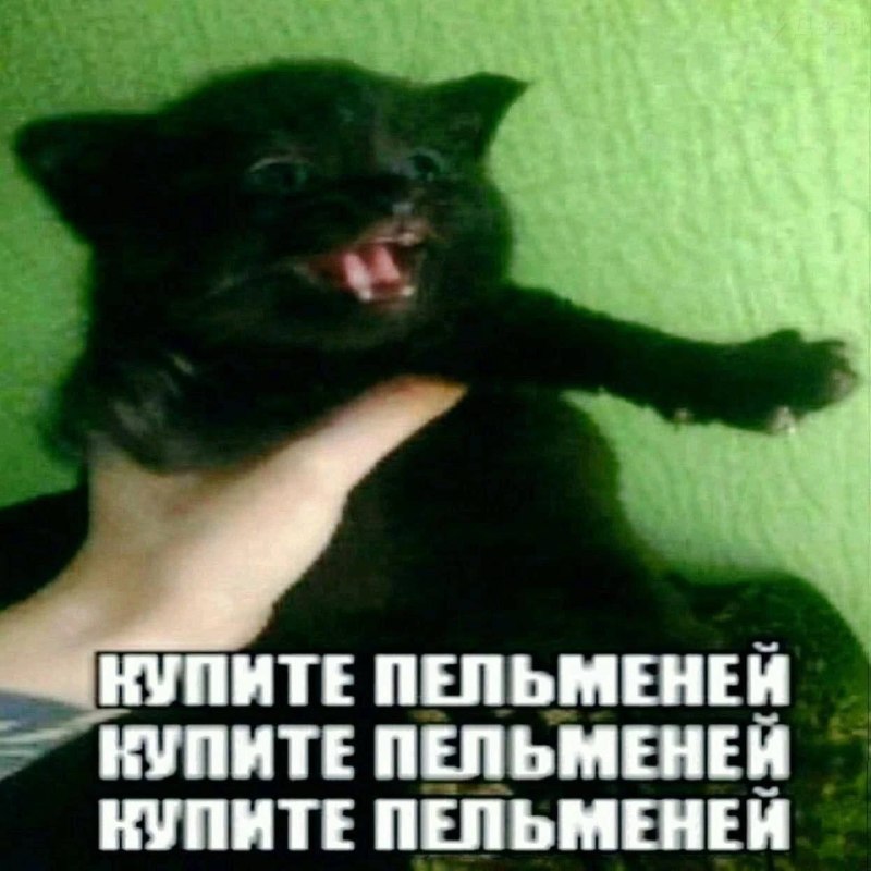 Утренняя подборочка