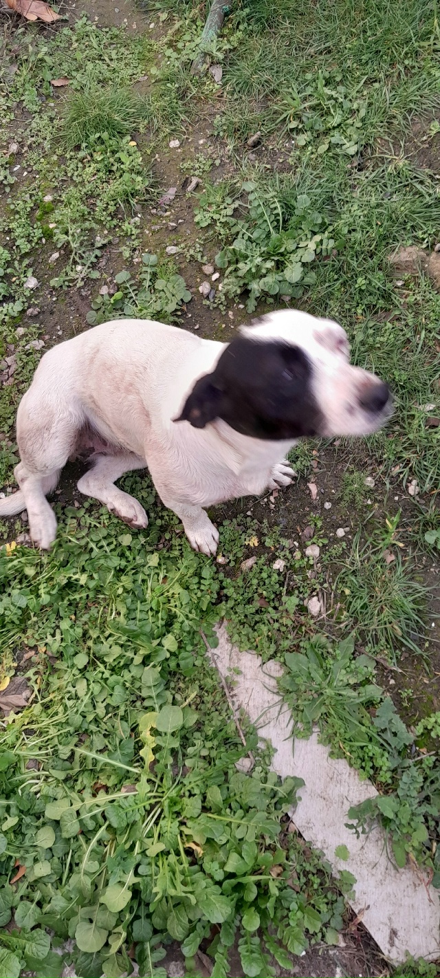 Думаю об этом стоит сказать!!!!!
В Красногвардейске, в ра...