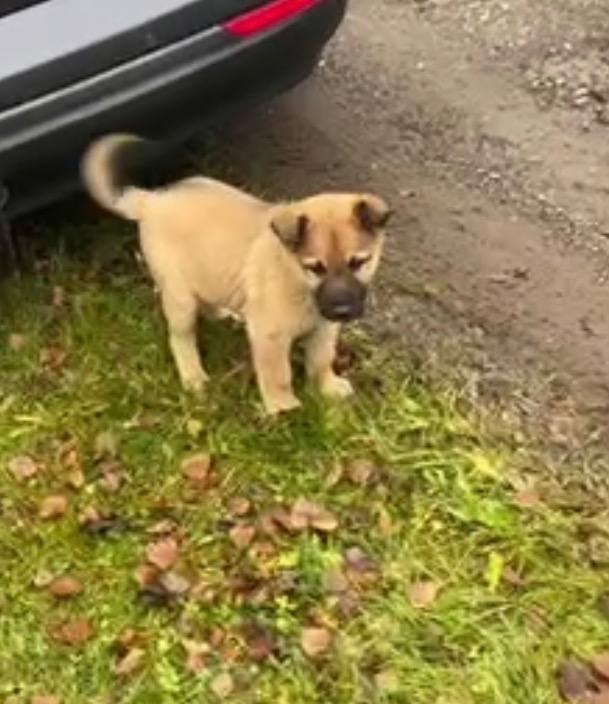 Уважаемые жители поселка Кадуй! На станции Комариха ме...