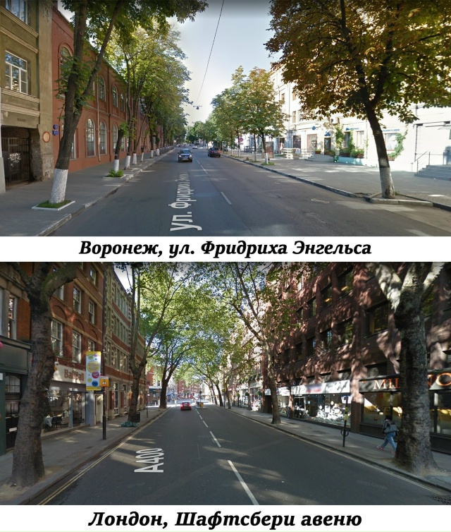 Вредительство облика Воронежа, путём уничтожения зеле...