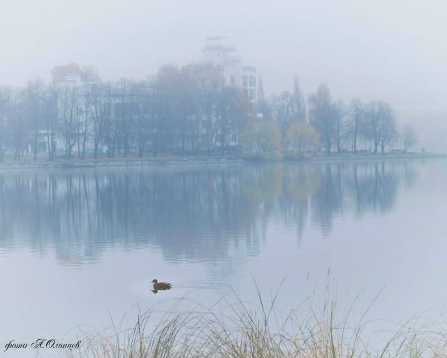 Плюсовая температура в кoнце ноября? Да когда у нас так?...