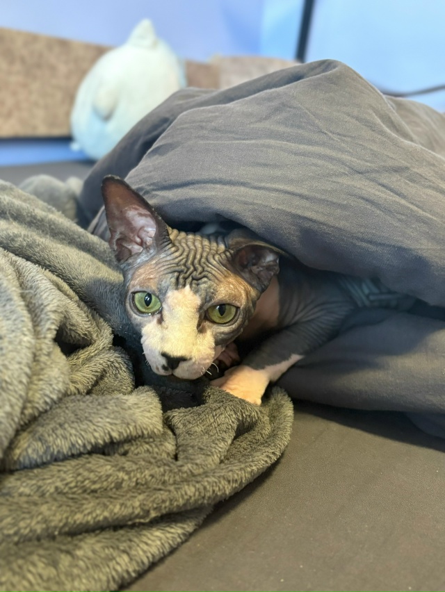 Матюша🦍❤️