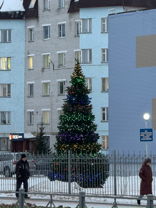 Елочный десант в центре города