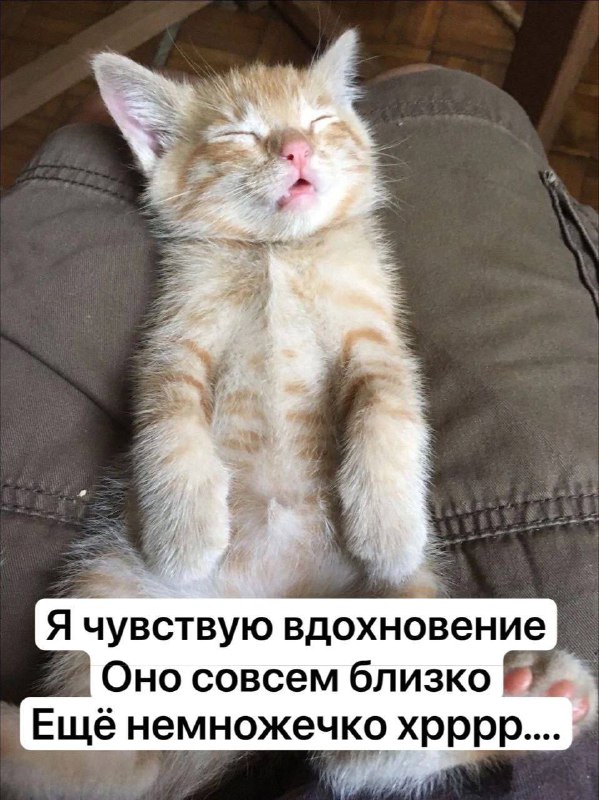 Утренняя подборочка