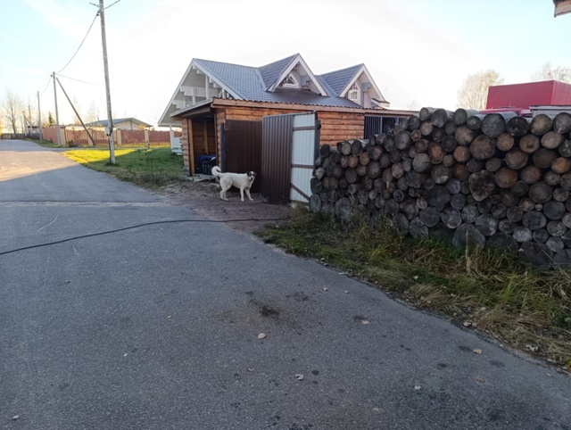 ЛО, Отрадное, к.п. Невская Отрада! 🔴‼️Чей собакен?🔴🆘...