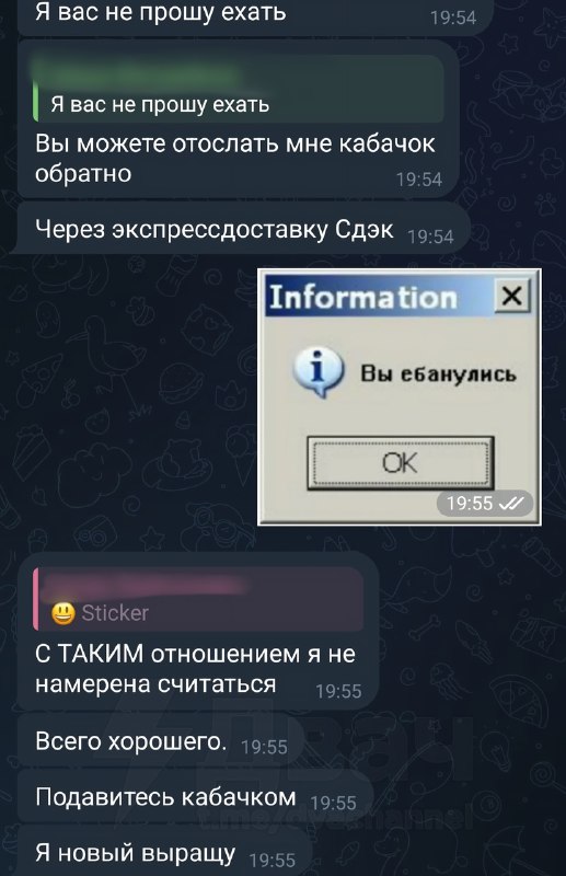 Чел заказал у мастера аниме-фигурку, а получил… кабачок с рисунком Хатсуне Мику и надписью «шлюха»