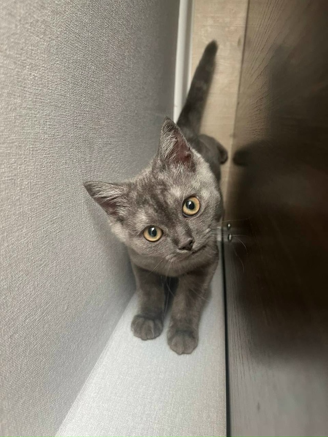 Ежедневно в 21 час по местному времени Ваши вопросы.
1⃣ ...