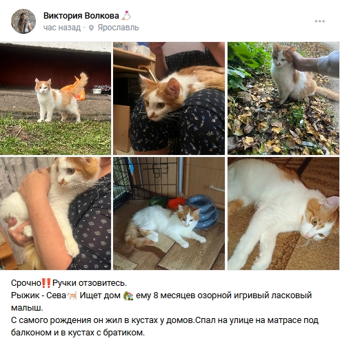 Пост добра. Распростаните, пожалуйста.