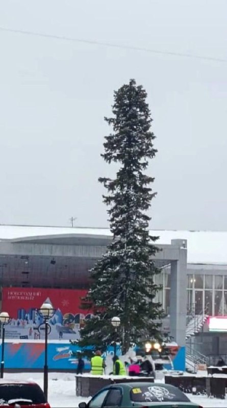 Красавицу елку поставили на главной площади Берёзовского в Кузбассе.
Местные тут же сравнили её с