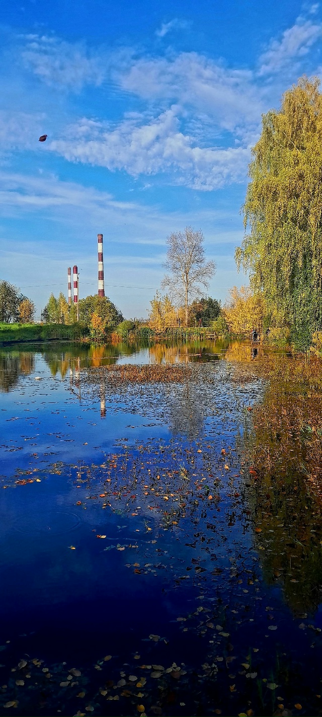 Осень.
Волгореченск.
Солнечный день...