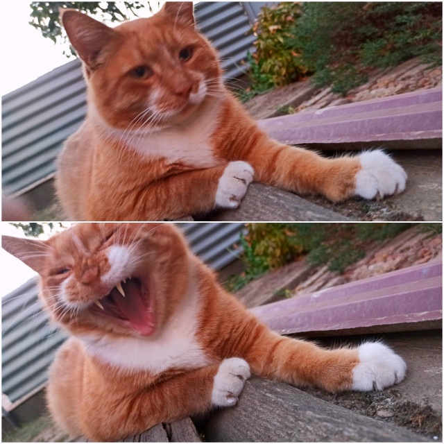 9 кило возмущений