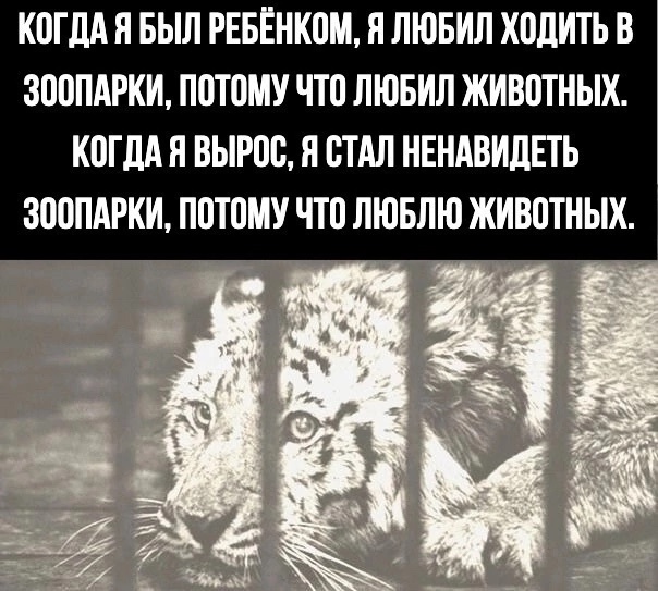 Не место для животных..