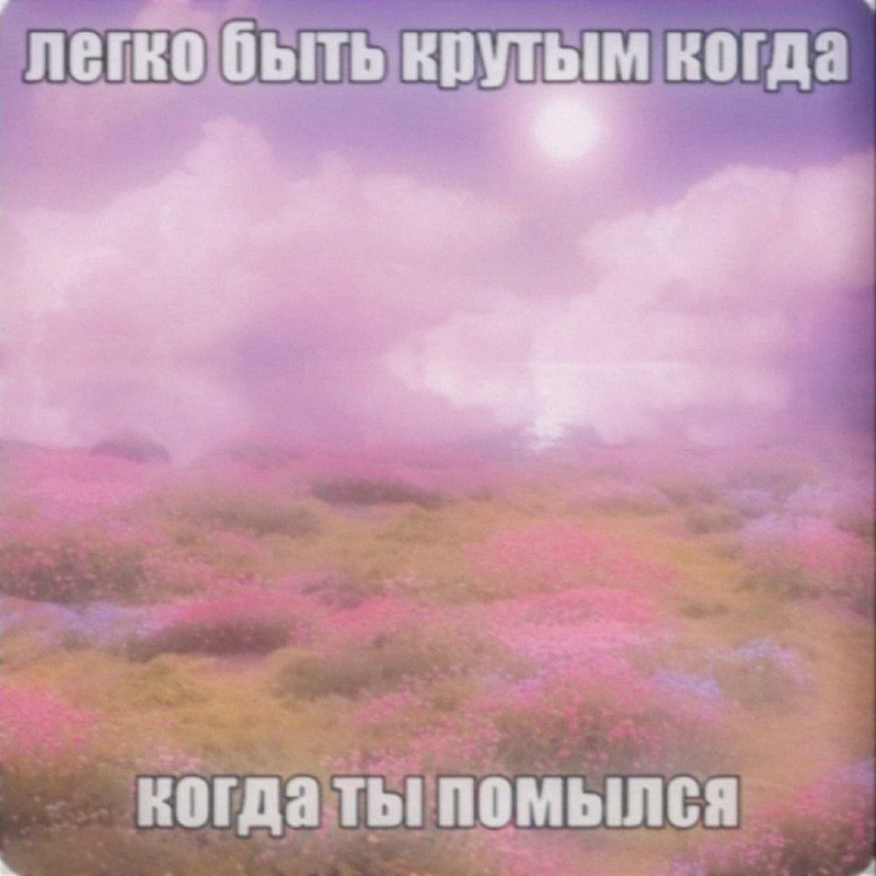 Утренняя подборочка