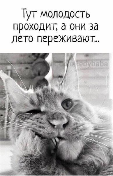 Торопитесь вдыхать лето,
Наслаждаться и любить…
Скор...