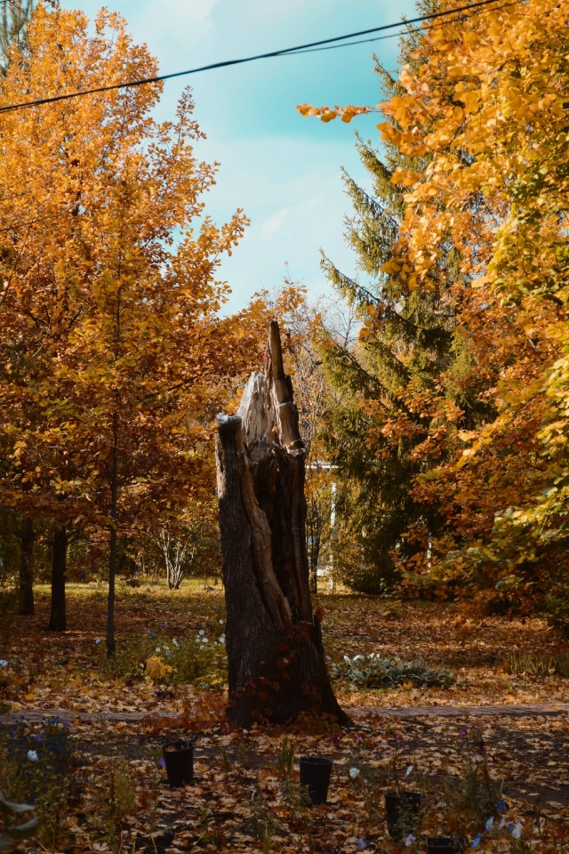 Уваровский район.