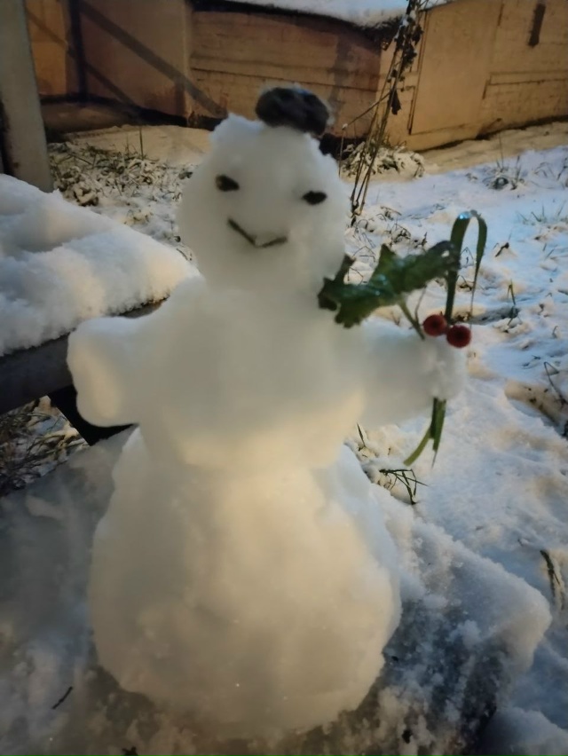 ☃️ Держите снега в ленту. И вот этого милого снеговичк...